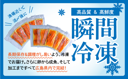 国産サーモン 詰め合わせセットE 約600g [切り落とし (80g×5P)+スモークサーモン (40g×5P)] 小分け 広島レモンサーモン｜広島 ふるさと納税 特産品 グルメ 国産 サーモン レモ