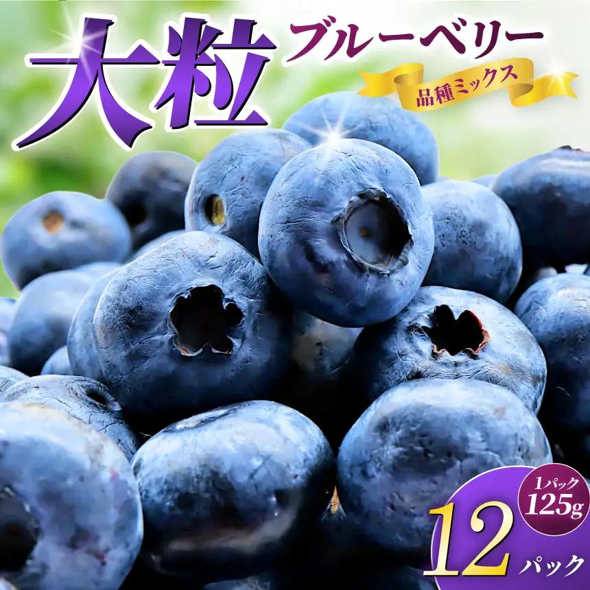 大粒ブルーベリー品種ミックス 125g×12パック 果物 フルーツ 国産 愛知県産 ※2026年6月上旬～8月上旬頃に順次発送予定 ※北海道・沖縄・離島への配送不可