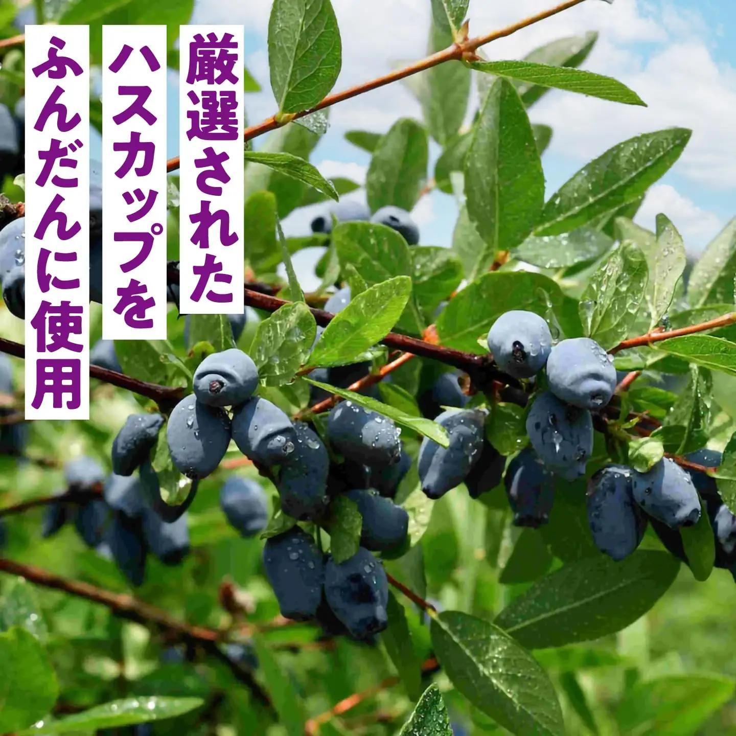 北海道厚真町産ハスカップシロップ3瓶セット【株式会社知熊屋】 [AXBN004]