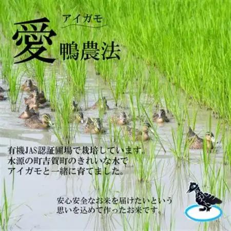 【有機米】令和7年産　吉賀町産つや姫「鴨ん米米」　精米5kg【1668659】
