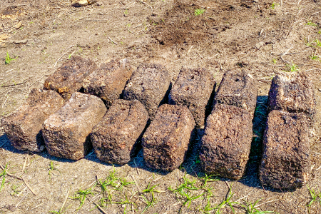 家庭菜園やカブトムシ・クワガタムシのマットに。廃菌床12個入り【サステナブル 家庭菜園 土壌 再利用 廃菌床】