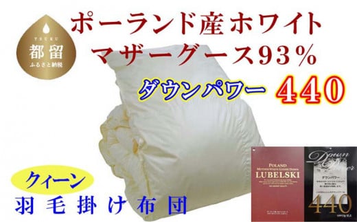 
【掛け布団】ポーランド産マザーグース93％ 羽毛掛け布団（クイーン：220cm×210cm）（ダウンパワー440）【サカキュー】｜羽毛布団 羽毛ふとん 羽毛掛けふとん
