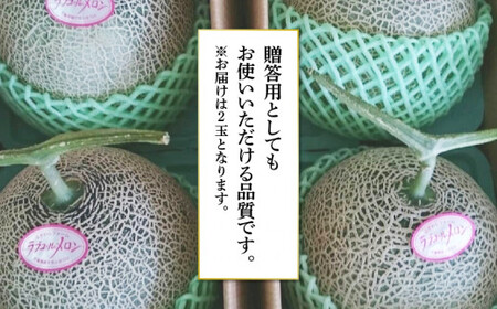 【予約注文】 ラブコール メロン 約1.3kg × 2玉 美味しい 甘い 高糖度 7月 青肉 フルーツ 果物 贈答 プレゼント 贈り物 追熟 送料無料 千葉県 銚子市 発送時期 2024年7月