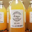 【ふるさと納税】新鮮なうちに絞った果汁100％りんごジュース 350ml×5本セット《なんぶ平野農園》