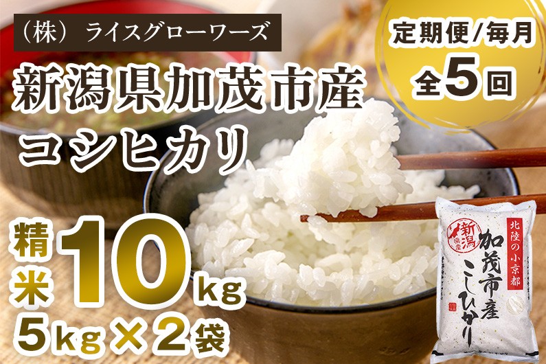 
                  【令和7年産】【定期便5ヶ月毎月お届け】新潟県加茂市産コシヒカリ 精米10kg（5kg×2）《順次出荷》 新潟県産コシヒカリ 新潟産コシヒカリ 新潟コシヒカリ 新潟県産こしひかり 新潟産こしひかり 新潟こしひかり コシヒカリ こしひかり お米 白米 米 定期便 （株）ライスグローワーズ
                