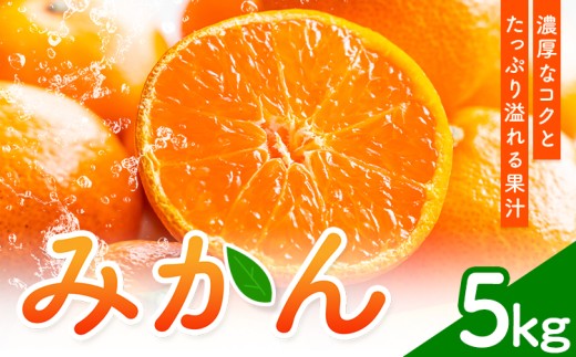 みかん 5kg 高橋商店《10月下旬-1月中旬頃出荷》熊本県 苓北町 柑橘 かんきつ 果物 フルーツ みかん