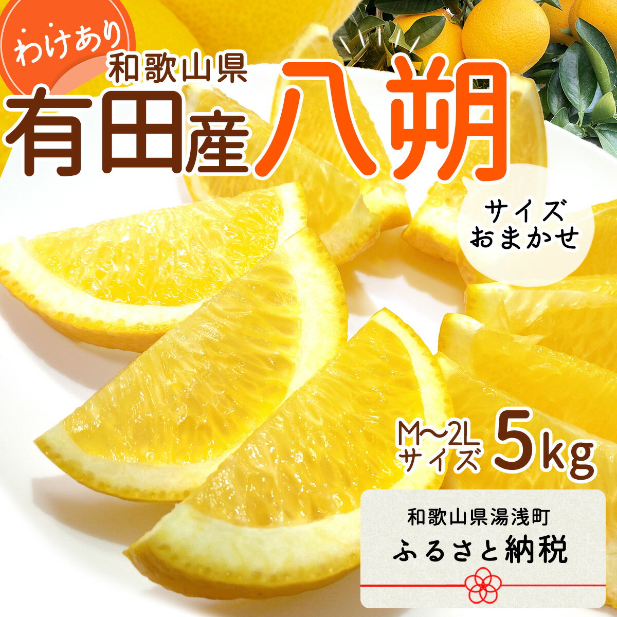 【ふるさと納税】【限定】 【先行予約】和歌山県有田産 八朔 5kg 訳あり (M～2Lサイズおまかせ)