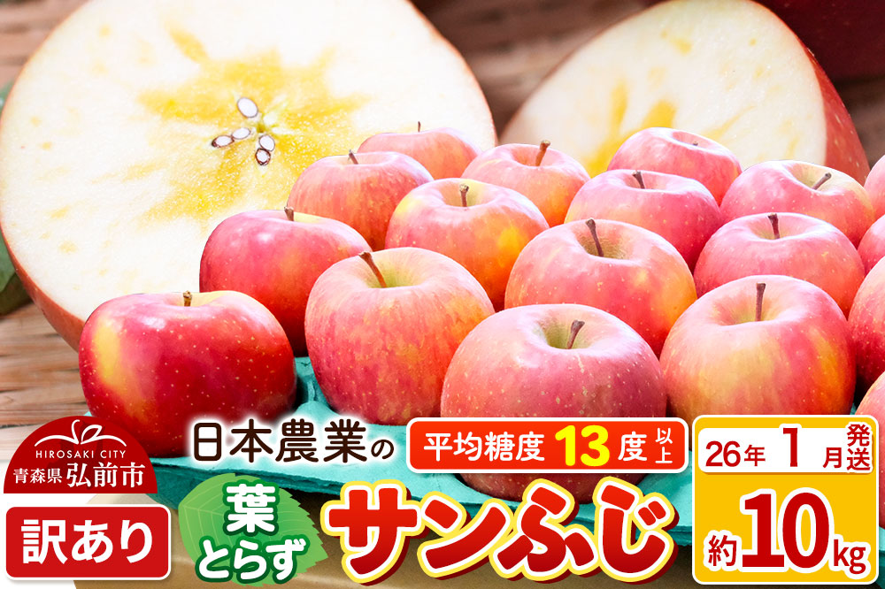 【26年1月発送】りんご 平均糖度13度以上！ 葉とらずサンふじ 約10kg 訳あり 青森 果物 フルーツ 林檎 リンゴ くだもの 不揃い 規格外