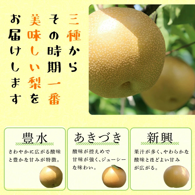FKP9-686 【先行予約】一勝地梨 約2.5kg