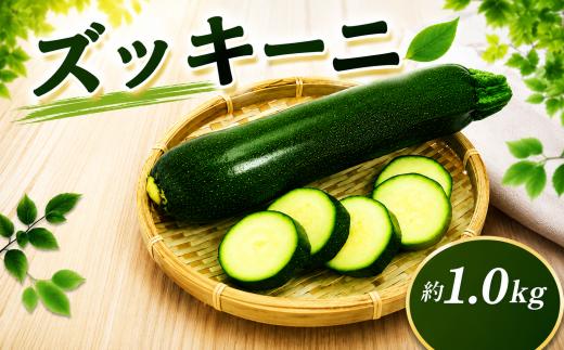 【先行予約】ズッキーニ 約1kg以上 ズッキーニ ずっきーに 野菜 夏野菜 やさい ヤサイ ベジタブル vegetable ラタトゥイユ 煮物 煮込み料理 料理 惣菜 新鮮 採れたて 産地直送 送料無料 国産 千葉県産 ふるさと納税 千葉県 千葉 旭市  smd003