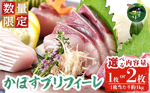 
            ＜内容量が選べる＞ かぼすブリ フィーレ (1枚 or 2枚) 期間限定 鰤 ブリ フィーレ 半身 魚 魚介類 養殖 冷蔵 大分県産 大分県 佐伯市【EW032・EW069】【Up】
          
