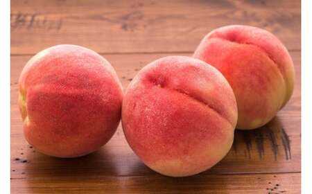 ＜25年発送先行予約＞目利きが選ぶ！笛吹産桃 1.5kg以上（6～7玉） 168-101