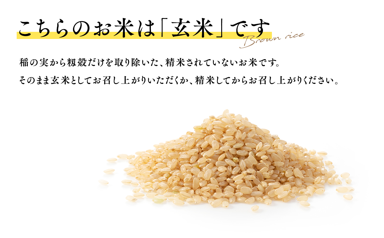 【寄附金額を見直しました】≪令和8年産 先行予約≫11月中旬よりお届け! 　特別栽培米 はれわたり玄米5kg【青森県 平川市】先行予約 米 お米 玄米 青森県産 産地直送 おにぎり 朝ご飯 冷めてもお