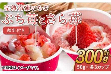 いちご 冷凍 50g×6カップ（300g） 練乳  完熟 冷凍 いちご 「ぷち苺」 と 「さら苺」 各3カップ 合計6カップ（300g） 練乳付き  1本（120g） 園村苺園 熊本県産冷凍いちご 宇城市産冷凍いちご 九州産冷凍いちご 