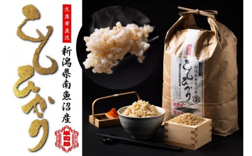 【令和7年産】【玄米】自然農法/化学肥料不使用の南魚沼産こしひかり10kg