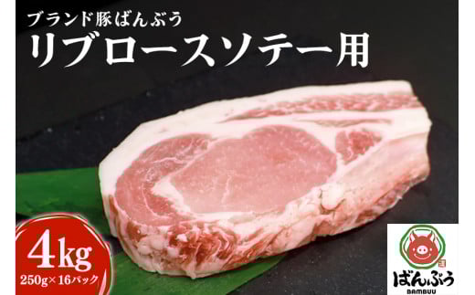 ブランド豚「ばんぶぅ」小分け リブロース ソテー用 4kg（250g×16パック） 冷凍便 4キロ  たっぷり 豚肉 豚ロース ポークソテー用 豚リブロース 希少部位 ぶた肉 ブタ肉 国産 茨城県産 ギフト プレゼント お祝い 42-AM