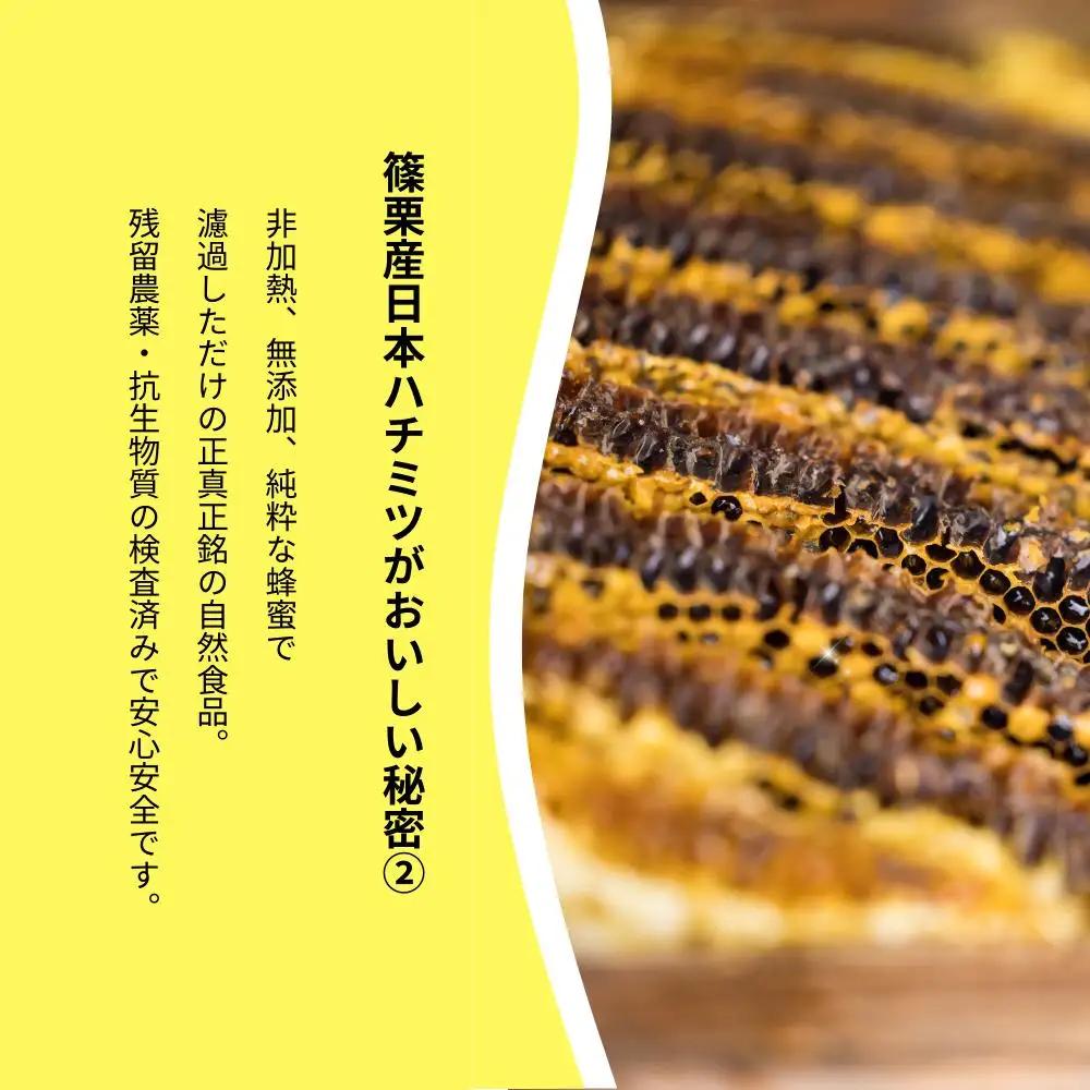 日本蜜蜂「ささぐり里山のはちみつ」（百花蜜）500g AA001 