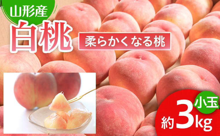 
            人気です！山形産 白桃 小玉 秀品 3kg[柔らかくなる桃] 【令和7年産先行予約】FU22-745 くだもの 果物 フルーツ 山形 山形県 山形市 2025年産
          