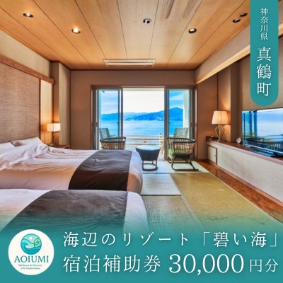 
                  海辺のリゾート碧い海　宿泊補助券(30,000円分)【1743586】
                