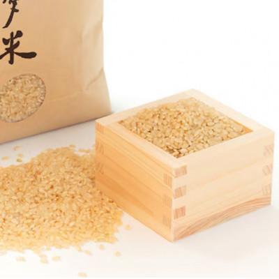 ふるさと納税 七尾市 【令和7年産】能登産にじのきらめき　能登夢米6kg(玄米3kg×2袋) |  | 03