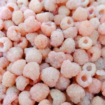 ふるさと納税 帯広市 【令和8年10月以降出荷】冷凍イエローラズベリー 500g×1袋