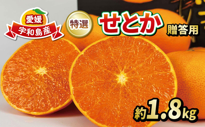 
            せとか 1.8kg 柑橘の 大トロ 贈答用 特選 フレッシュつちやま 先行予約 高級柑橘 秀品 贈答品 ギフト プレゼント 高級 ブランド 希少 甘い 果物 フルーツ 柑橘 mikan みかん 蜜柑 贈答 贈る 愛媛みかん 産地直送 数量限定 国産 愛媛 宇和島 B015-096026
          