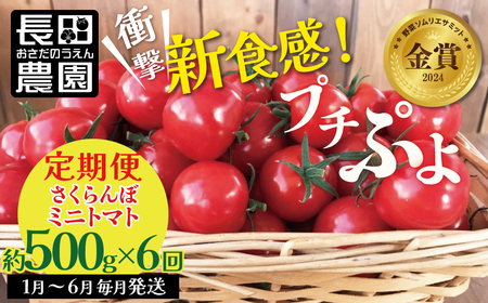 【先行受付】2027年1月～6月毎月発送 新食感!!奇跡のさくらんぼミニトマトの定期便 約500g×6回コース 野菜ソムリエサミット 金賞 受賞 長田農園 産地直送 トマト とまと 野菜 やさい フル