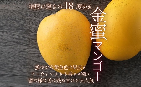 【2025年 先行予約 数量限定】マンゴー好きに食べてもらいたい！金蜜マンゴー 秀品 2kg以上 秀品 先行予約 沖縄 甘味 糖度 濃厚 おいしい お土産 まんごー きんみつ ギフト プレゼント 果実