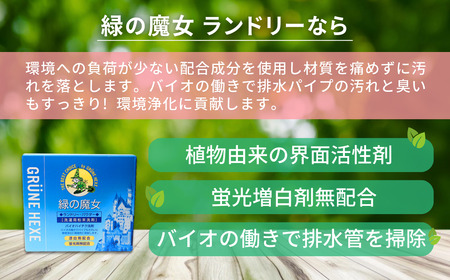洗濯洗剤 排水口もスッキリ 緑の魔女 ランドリーパウダー 1kg×2個セット | 洗濯洗剤 洗濯洗剤 洗濯洗剤