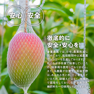 完熟マンゴーのジェラート＆シャーベット130ml×6個入り_Dw012