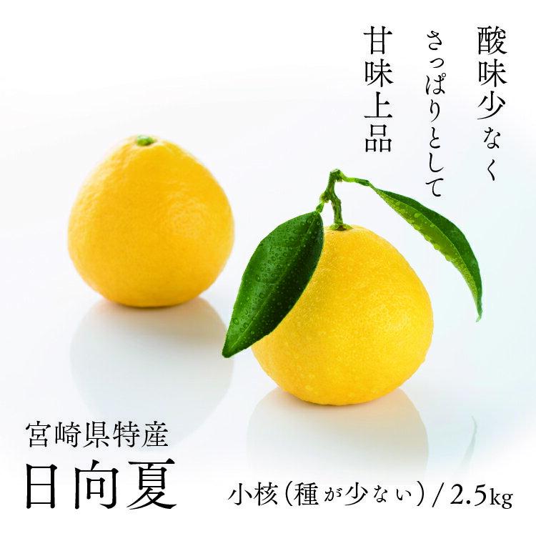 【ふるさと納税】初春の旬「日向夏」種が少ない 2.5kg 果物 日向夏フルーツ 贈答 ギフト 送料無料