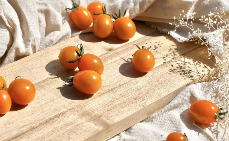 [野菜ソムリエサミット金賞・銀賞] ミニトマト 詰め合わせ 