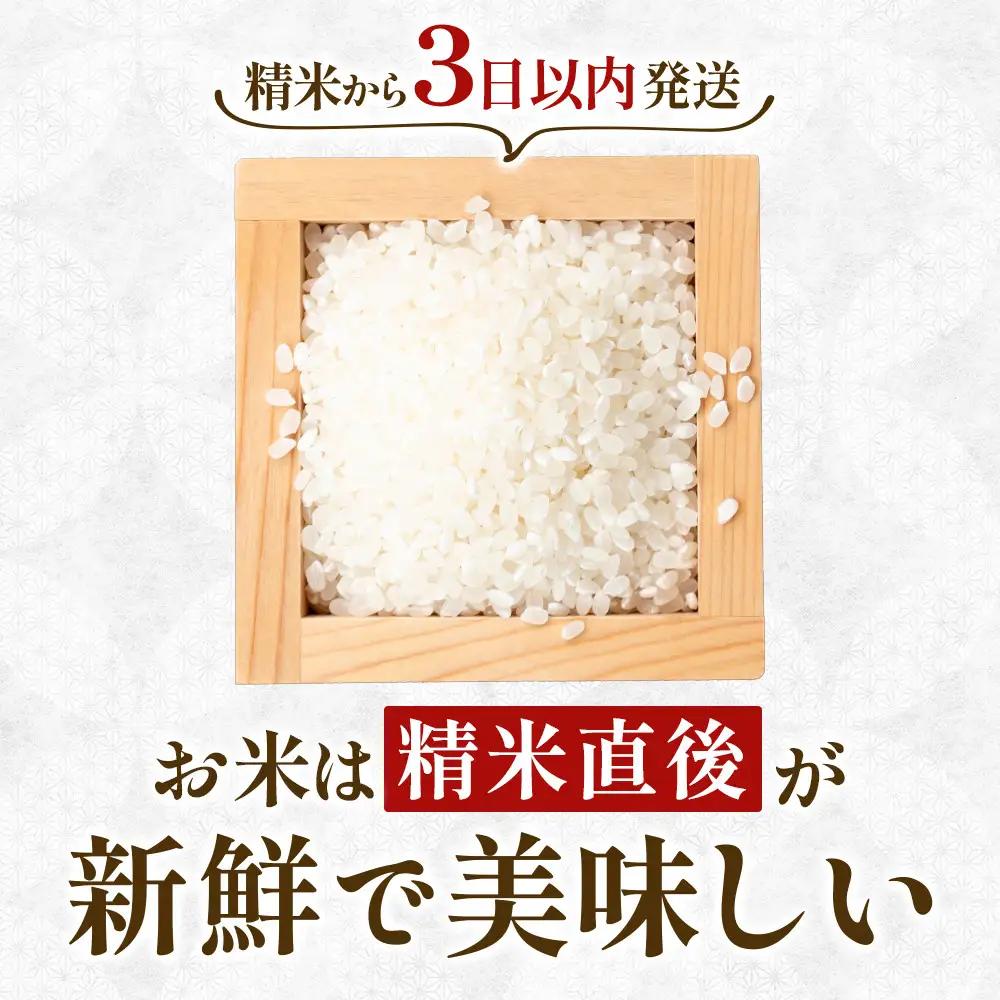 【令和7年産】ひとめぼれ 無洗米 5kg ｜ ひとめぼれ