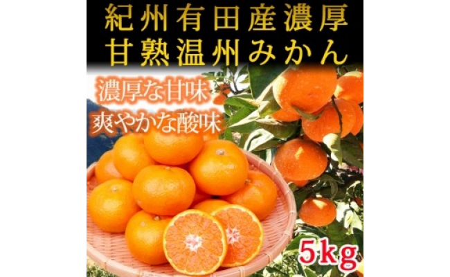 
紀州有田産濃厚甘熟温州みかん　5kg
