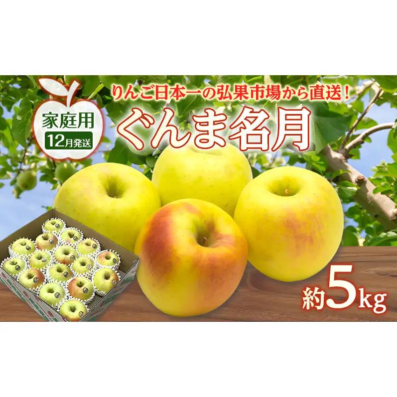 りんご ぐんま名月りんご 青森県産 家庭用ぐんま名月 りんご【約5kg】【12月発送】