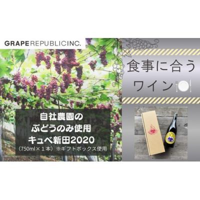 ふるさと納税 南陽市 【自社農園のぶどうのみ使用】オレンジワイン「キュベ新田2020」 750ml ×1本 [S2705]