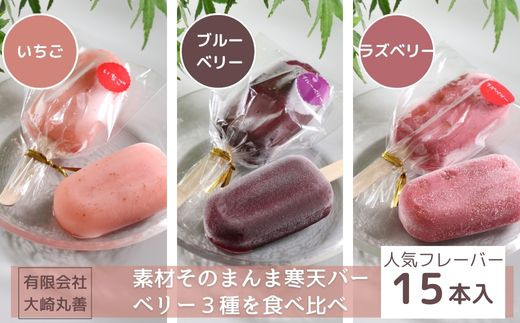 
素材そのまんま寒天バー 人気のベリー3種を食べ比べ 15本入 ｜ お菓子 スイーツ 寒天 和菓子 生菓子 ※2024年8月上旬～9月中旬頃に順次発送予定 ※北海道・沖縄・離島への配送不可
