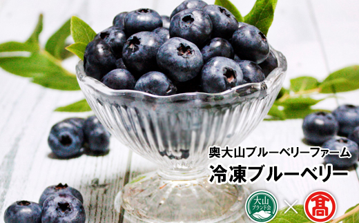 DB23：BI4＜奥大山ブルーベリーファーム>冷凍ブルーベリー（大山ブランド会）