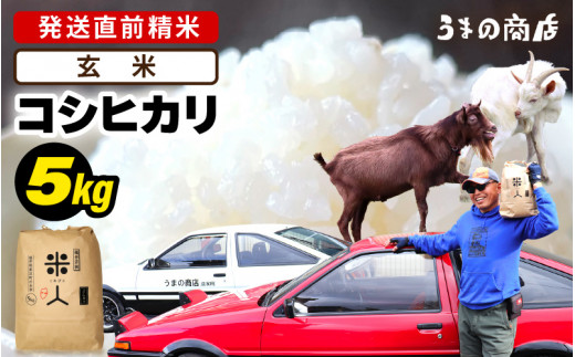 【令和7年産】 コシヒカリ 5kg【玄米】 [m25-a006_03]