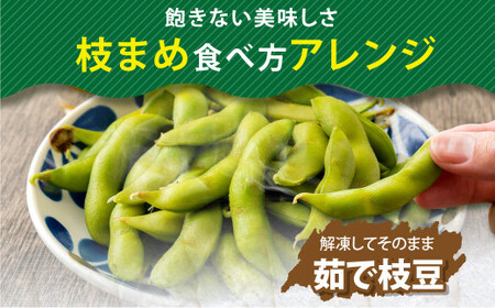 【3ヶ月定期便】そのまま黒えだ豆 約1000g×2袋 計約6kg 枝豆 黒えだ豆 黒枝豆 えだ豆 えだまめ エダマメ おつまみ おやつ 定期便 3回 国産 冷凍 [018-0075x1]