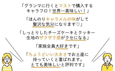 チーズケーキ キャラフロ 計12本 6本入り×2箱  濃厚 ﾁｰｽﾞｹｰｷ