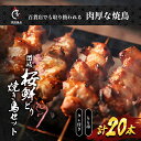 【ふるさと納税】百貨店でも扱われる肉厚な焼鳥!讃岐桜鮮どり焼き鳥セット　もも串×20本タレ1本　【 惣菜 つまみ お酒のあて ビールのおつまみ おかず 】