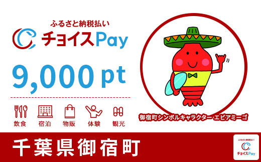 
御宿町チョイスPay 9,000pt（1pt＝1円）【会員限定のお礼の品】
