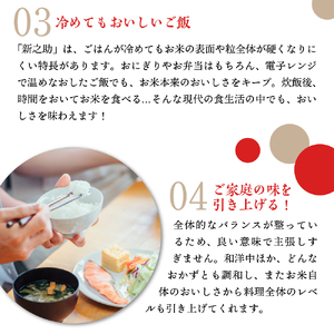 【2026年6月下旬発送】新潟県上越妙高産新之助20kg※沖縄県・離島配送不可