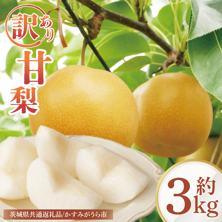 【8月中旬より発送】【数量限定】訳あり 甘梨（なし） 約3kg（茨城県共通返礼品／かすみがうら市）（FW-8）