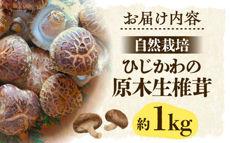 【11月上旬から順次発送】ひじかわの原木生椎茸 約1kg しいたけ 野菜 椎茸 干ししいたけ きのこ[AGBO001]