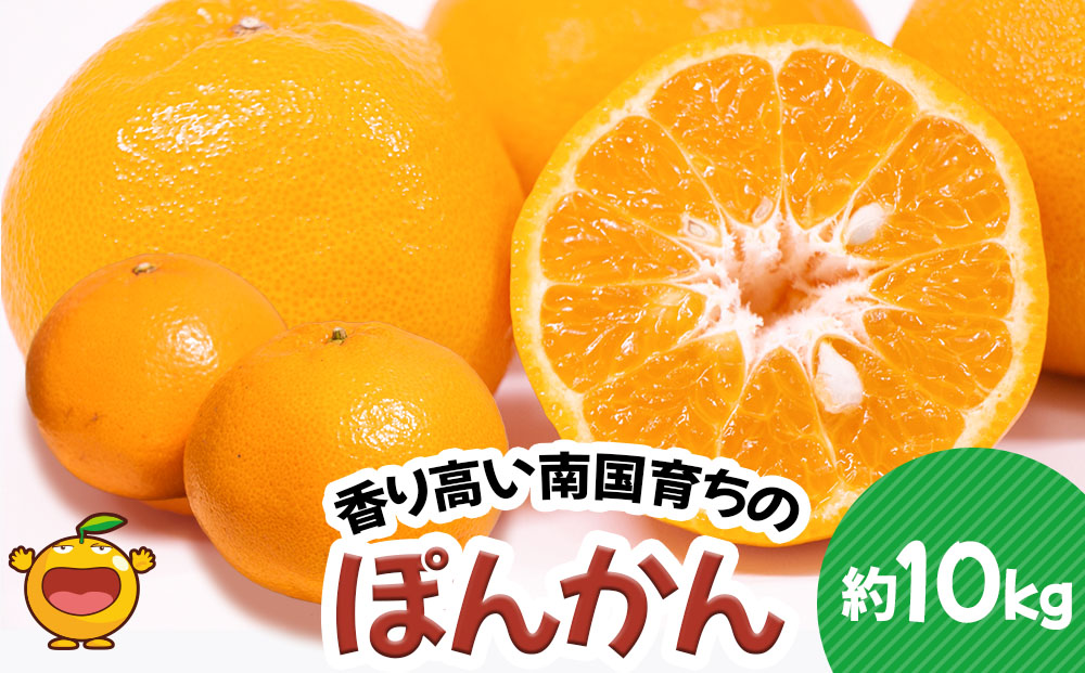 ぽんかん 10kg | ポンカン みかん 果物 大分県 九州 津久見市 国産