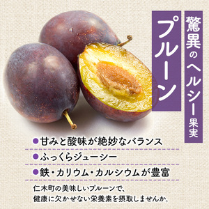 プルーンフルーツ 峠のふもと紅果園 品種おまかせ 北海道産 プルーン【約2kgサイズ混合】