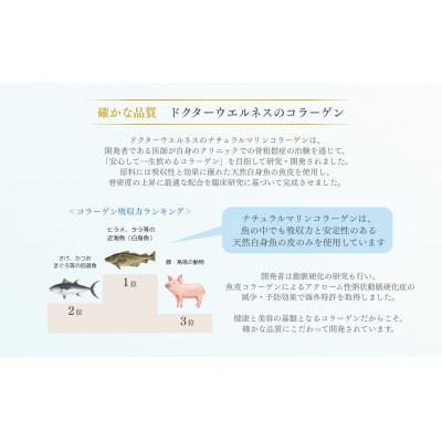 ふるさと納税 川越市 ドクターウェルネス ナチュラルマリンコラーゲン 60包(顆粒) |  | 01