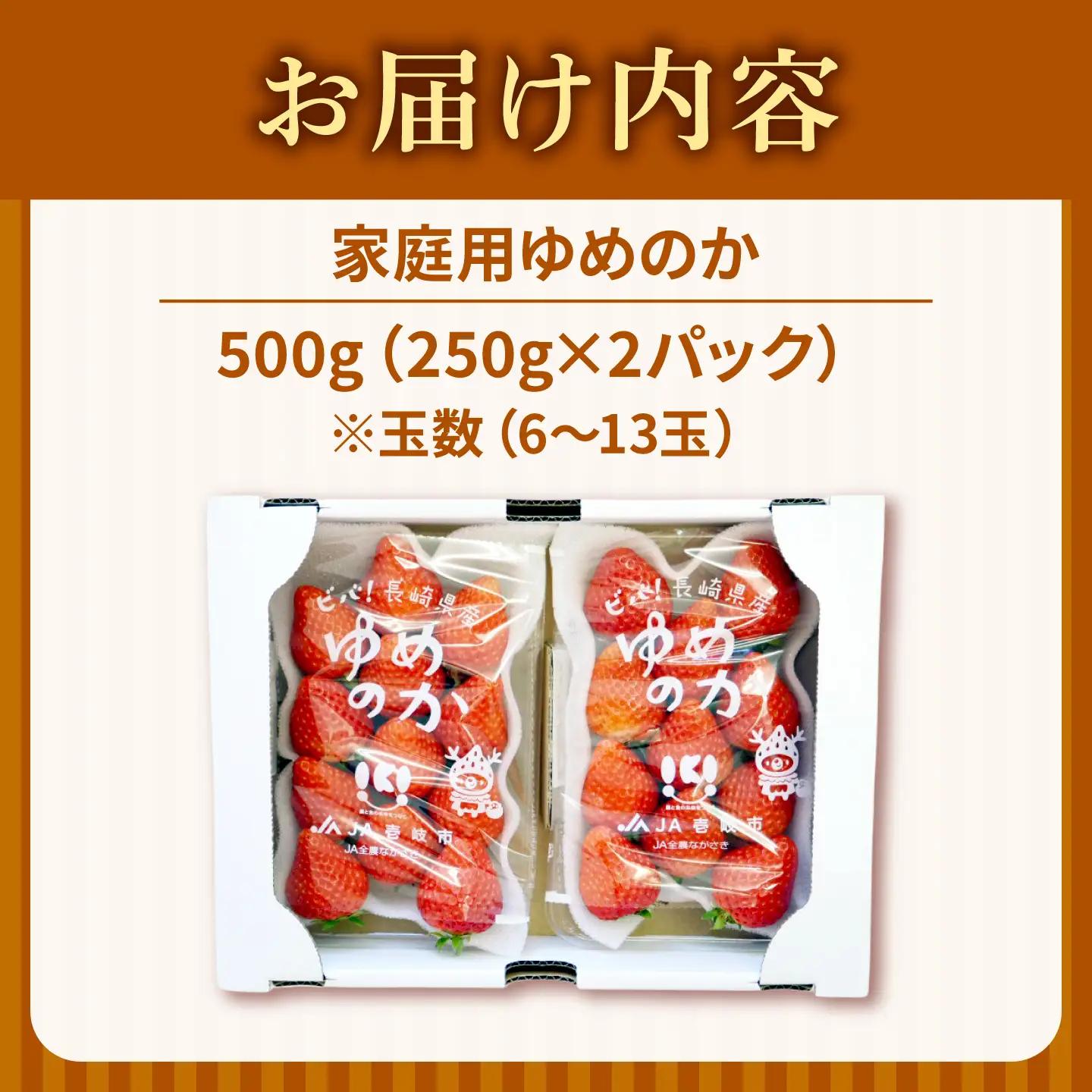 【先行予約】【訳あり/簡易包装】ゆめのか 250g × 2パック【2027年1月以降順次発送】 [JEM006] いちご 苺